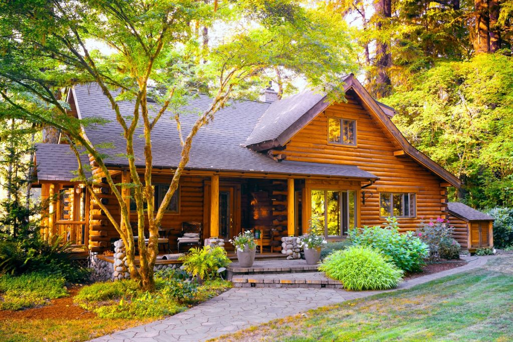 wooden home at the forest