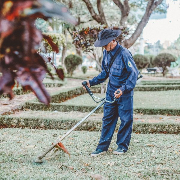 15 Drought Tolerant Landscaping Ideas for a Low-Maintenance Yard
